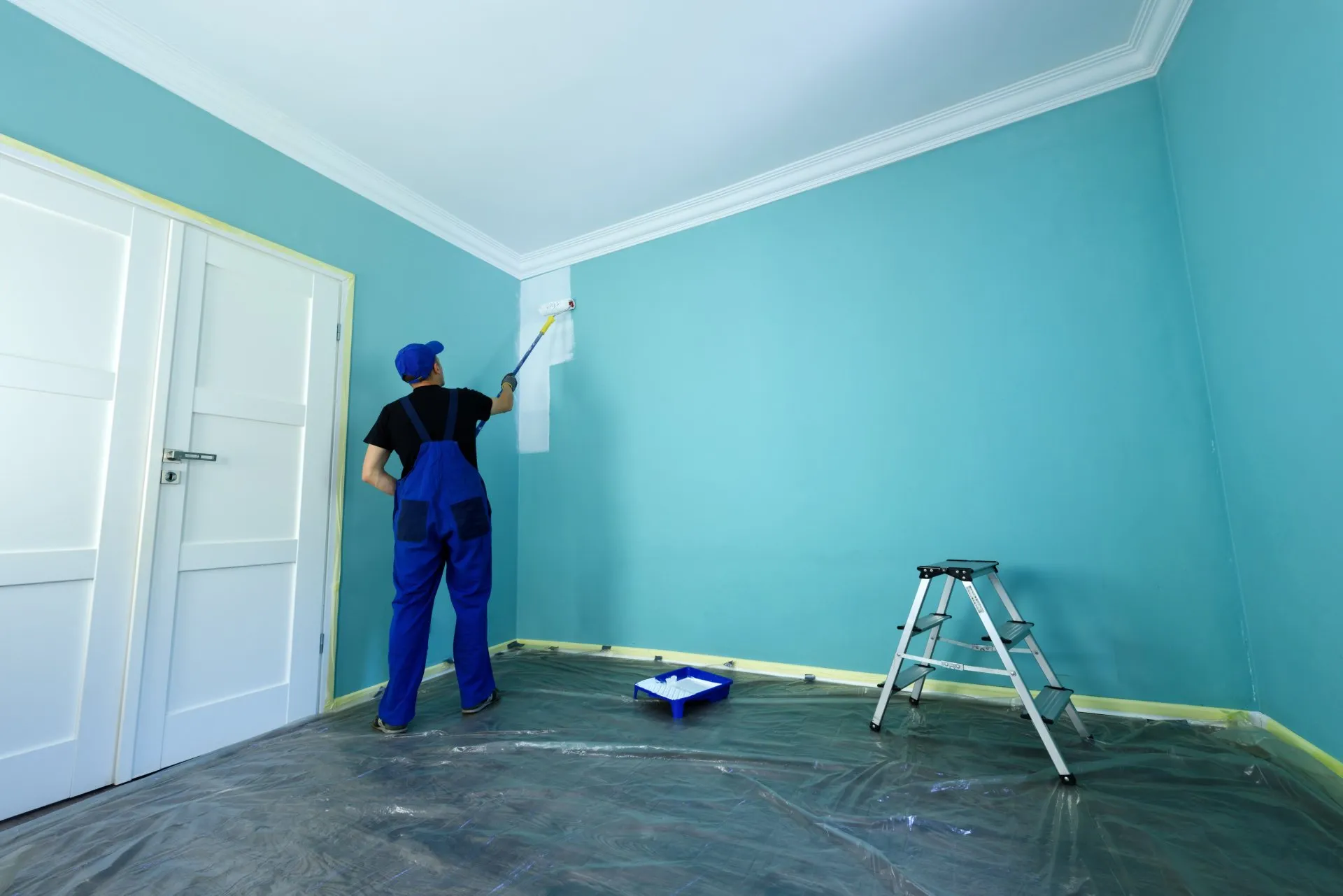 Teds Professional Painting