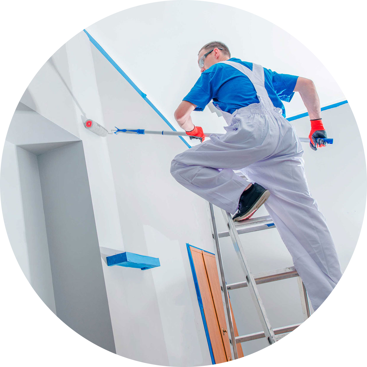 Teds Professional Painting