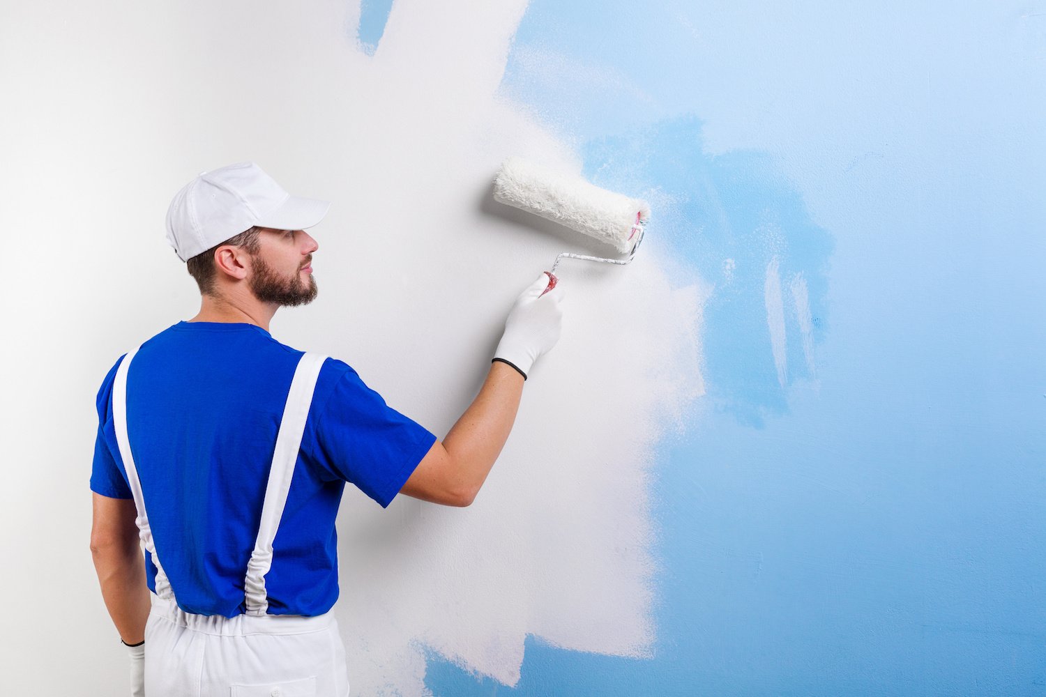 Teds Professional Painting