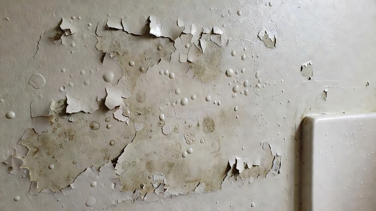 White latex paint bubbling and peeling on a bathroom wall near the shower.